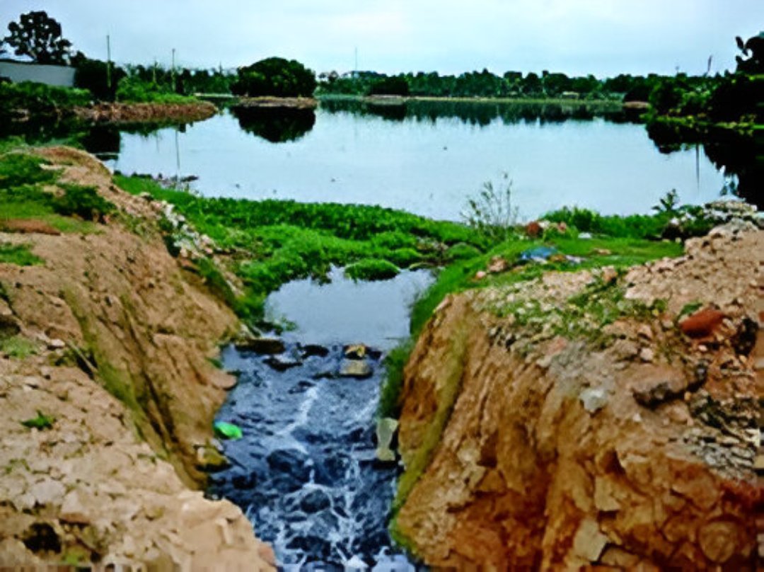 Gangodanahalli_Lake_waste